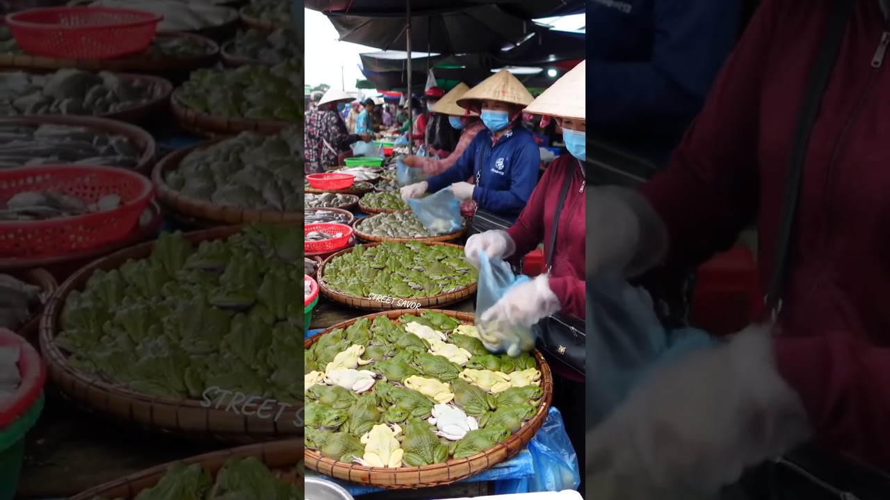 Exotic Frog Market in Southeast Asia – Traditional Wet Market Scene@muhibsavor-ai