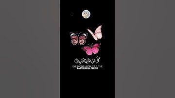 القرآن الكريم | سورة الرحمن | للقارئ يوسف المرهون | تلآوة هادئة تريح الآعصاب😌❤ | حالات واتس اب