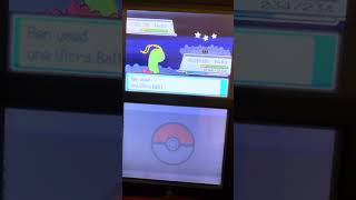 Meganium encountering Chingling until it gets catched