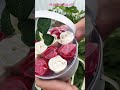 Съедобные розы на заказ Москва