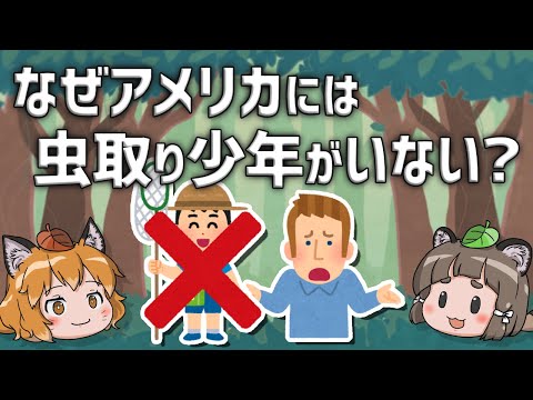 【疑問】アメリカにはなぜ虫取り少年が存在しないのか?