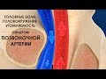 Головные боли, головокружение, утомляемость - синдром позвоночной артерии