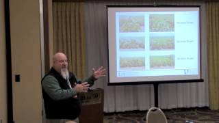SOYBEAN - Influence Of Row Spacing, Seed Population & Plant Architecture Of Soybean . . .