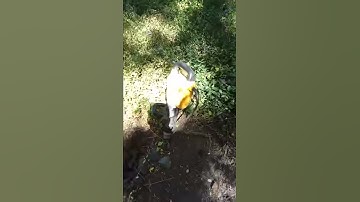 Harbor Freight Predator 3500 with new spark plug NGK