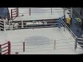 Ring 1, Saturday Hungarian Kickboxing World Cup 2024