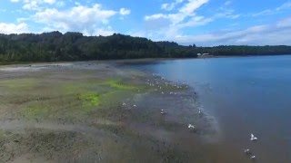 Costa Terao Chiloé