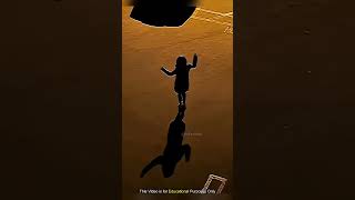 😱💃 Would You Walk Closer… or RUN? | #factbolt  #facts #shorts