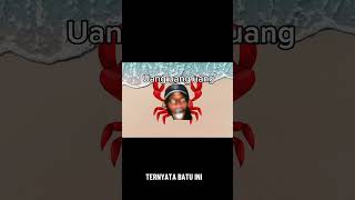 Bajak Laut Ini Kehausan fypmemelucungakak