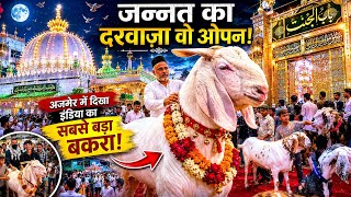 Ajmer dargah me dikhe India ke sabse bade bakre ratko bakre ko dulha bana ke ke q late h ziyarat😍