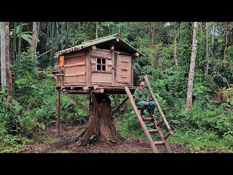 видео: built a wooden house on a big tree, with 2 doors, balcony, and bush room