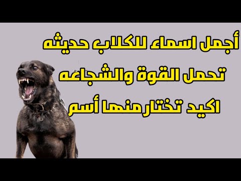 فيديو: 70 أسماء الكلاب الإسبانية: ذكر وأنثى