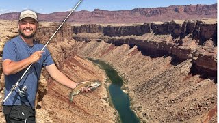 Trout fishing in the DESERT!? (Grand Canyon)