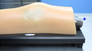 CAE Healthcare: Blue Phantom MSK U/S Knee Injection Simulator