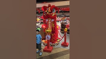 Thumbnail of Lion Dance #elatedvernacular #shorts #shortsvideo