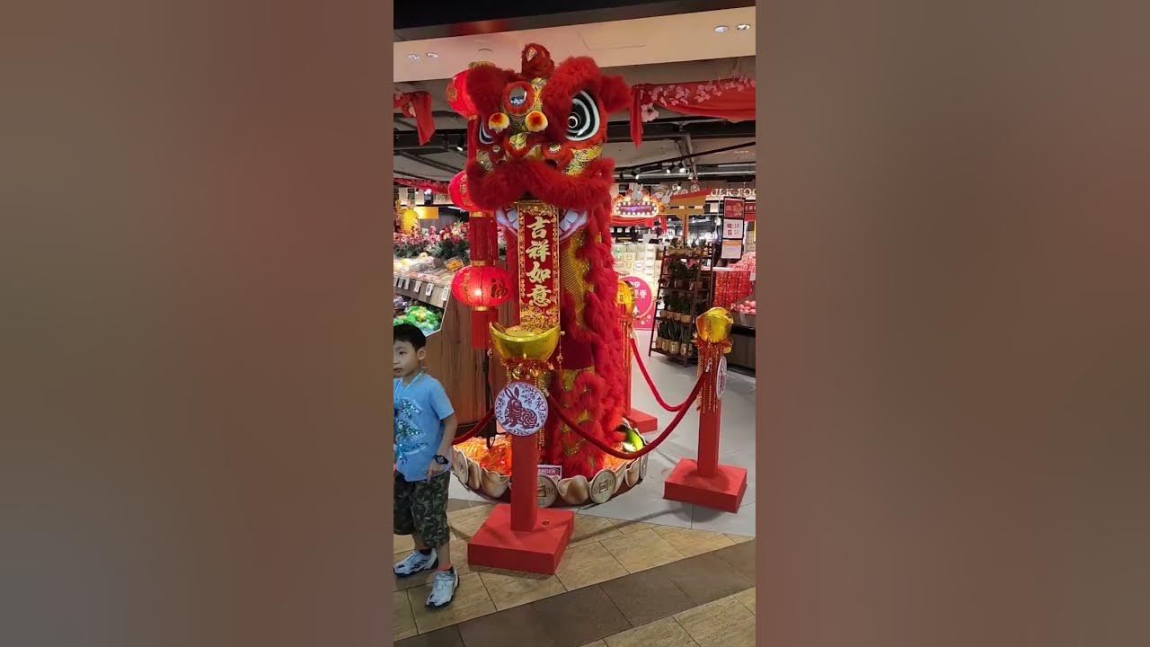 Lion Dance #elatedvernacular #shorts #shortsvideo