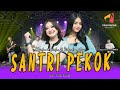 SANTRI PEKOK - SHINTA ARSINTA ft DIANDRA AYU | Jare Bapake Aku Koyo Santri Pekok | Live Music Video