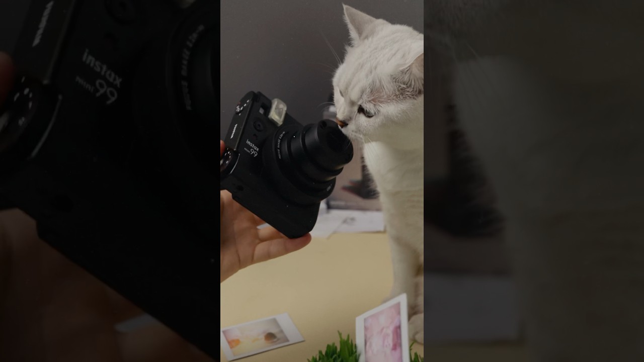 Fujifilm Instax mini 99. Розпаковку та огляд дивіться на каналі! 