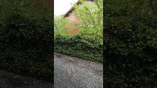 Hagel Mönchengladbach/ Germany