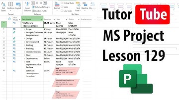 Microsoft Project - Lesson 129 - Naming and Adding Custom Fields