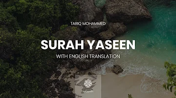 Surah Yaseen | Qari Tareq Mohammed | سورة يس | القارئ طارق محمد