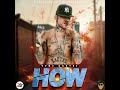 Vybz Kartel - How (Official Audio)