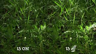 Turn Image Stabilization OFF when camera is on a tripod