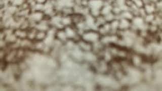 Live Broadcasting From My Infinix Infinix X572 With Cctube-App