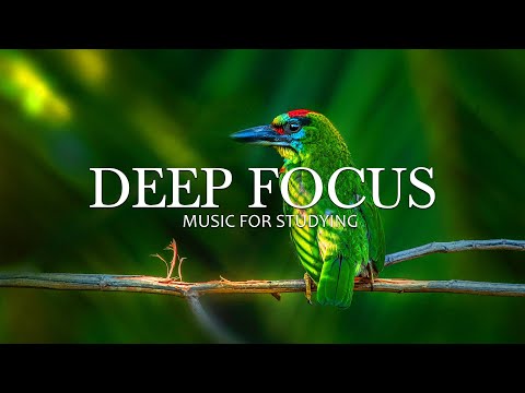 Deep Focus Music To Improve Concentration 6 Hours of Ambient Study Music to Concentrate