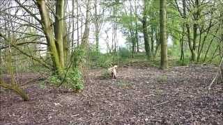 Snapshot 3 april 2014 by Lucky Piquel 35 views 9 years ago 2 minutes, 47 seconds