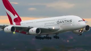 A380 Qantas Landing Full Video | #qantas #aeroplane #youtube