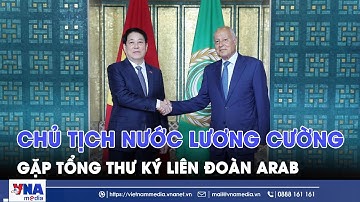 Chủ tịch nước Lương Cường gặp Tổng Thư ký Liên đoàn Arab - VNAMedia