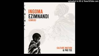 IZINGOMA EZIMNANDI Motion culture Ft Pro tee 
