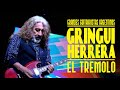 Gringui herrera  grandes guitarristas argentinos