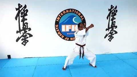6th Kyu Syllabus. IFK Kyokushin Syllabus. Mauritius Branch