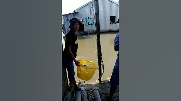 Câu cá cóc sông khủng nha các bạn.