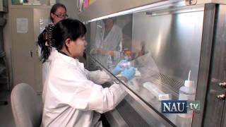 Inside NAU Ep1: NACP 5