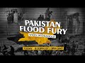 WION Wideangle LIVE | Pakistan flood fury: Death toll tops 1200