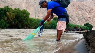Tiramos la Atarraya y Mira lo Poco que Sale… Así es la Pesca Real