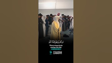 سورة العنكبوت كما لم تُتْلَ من قبل | هيثم الدخين #اكسبلور