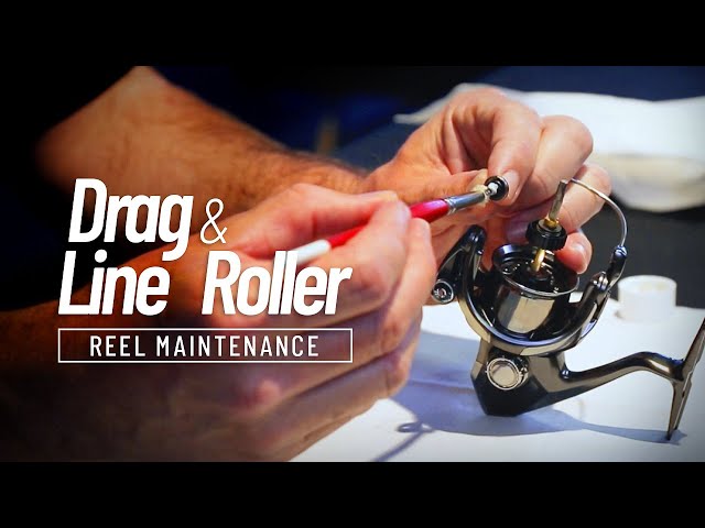 Reel maintenance: How to service the drag and line roller on a spinning reel  