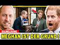 Harry sprengt alles in Australien – William explodiert und kappt Sussex endgültig!