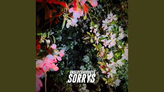 Sorrys