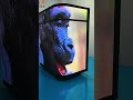 RGX-Curved DJ LED Display 39.37inch Height 59inch Width Waterproof Durable GOB Compact Design #dj