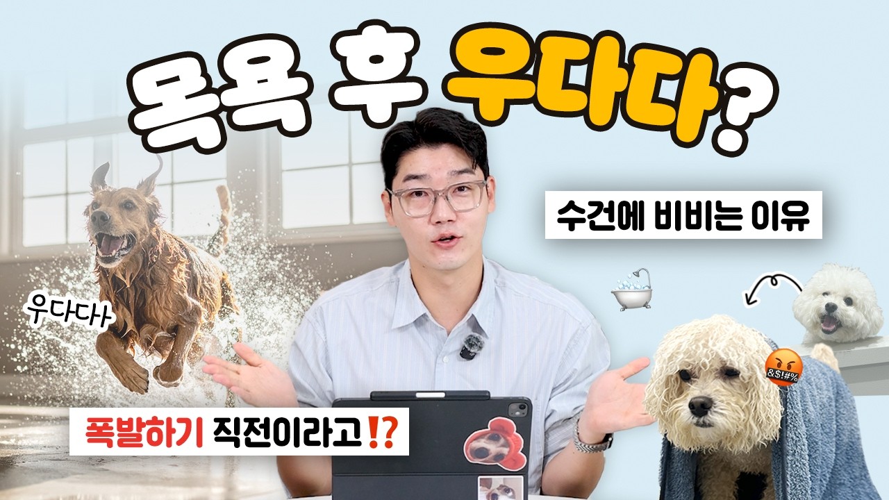 강아지 목욕하면 보이는 이상행동?🛁 | 설채현 행동학 수의사