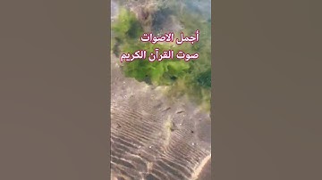 القارئ ماهر المعيقلي تلاوه خاشعة بصوت جميل اللهم اجعل القرآن ربيع قلوبنا ونور صدورنا# 🌹😍