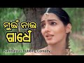 Mui nai gadhe  sambalpuri dubbing comedy  sambalpuri malpua