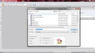 POM #13 - Software Lesson