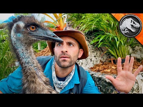 Jurassic World Explorers: RAPTOR TRAINING DAY! | Jurassic World