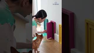 Three mystery doors #omgwhatshappening #funny