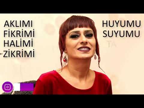 Yıldız Tilbe şiir (Aklımı fikrimi Halimi Zikrimi)